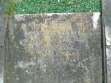 image of grave number 135253